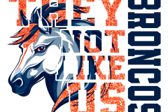 Denver-Broncos