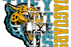 Jacksonville-Jaguars