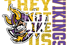 Minnesota-Vikings